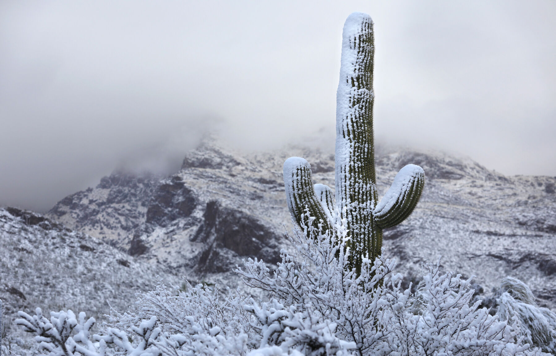 Rainy Christmas possible in Tucson